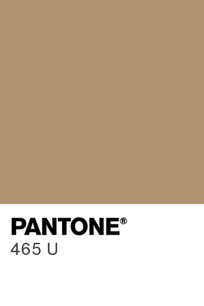 Light Brown Opera Leather Gloves